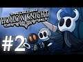 Hollow Knight - Part 2: Honesty about bugs