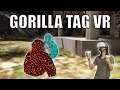 Gorilla Tag VR Lobbies are INTENSE | Oculus Quest 2 Gameplay
