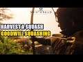 Harvest a Squash (Goodwill Squashing) New World