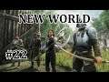 New World - 19 und 20 Uhr Krieg danach Endgame Gruppen Content  - #22