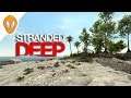 What Happened to Stranded Deep ?