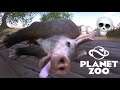 DER ERSTE TOTE #08 PLANET ZOO - Let's Play Planet Zoo