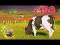 AM CUMPARAT 150 DE VACI SA ACHIT DATORIA! EP.73 Farming Simulator 19