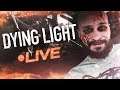 DYING LIGHT: THE FOLLOWING #7 - KIEROWCA ZAWODOWY!