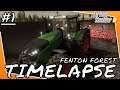 Fenton Forest TIMELAPSE | Seasons | #1 | Farming Simulator 19