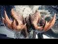 Monster Hunter World ICEBORNE - Exploring & Banbaro Hunt