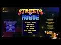 Streets of Rogue - Win with all Characters - Slum Dweller
