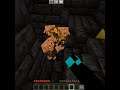 Can i survive Minecraft in Nether | I don't think so | #shorts | Total dynamic |