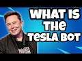 What Is A Tesla Bot