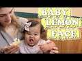 Baby Lemon Face (WK 463) Bratayley
