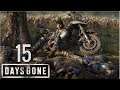 Days Gone (PS4) | En Español | Capítulo 15 "Prefiero no pertenecer" - HD - Sin Comentarios