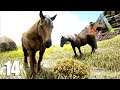 DOMEI DOIS CAVALOS DO ATLAS + Caçando com os RAPTORES e Explorando o Pântano - Ep 14