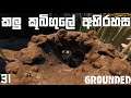 Grounded | කලු කූබිගුලේ අභිරහස #31