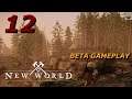 Let's Play NEW WORLD - Closed Beta - Part 12 - Warhammer/Sword and Shield - Gameplay Walkthrough