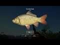 Russian Fishing 4 Old Burg Level 18 Thank you for your support