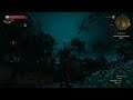 The Witcher 3: Wild Hunt part 12 | LIVE Gameplay Walkthrough - No Commentary