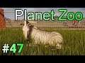 実況 動物観察の刑に処す！「Planet Zoo」#47