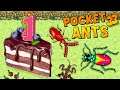 ŞENLİKLİ KAPLAN BÖCEĞİ ve YIL DÖNÜMÜ ETKİNLİĞİ - Pocket Ants: Colony Simulator! - BÖLÜM 33