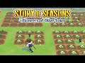Story Of Seasons Pioneers Of Olive Town [068] Eine Standart Farmtag [Deutsch] Let's Play