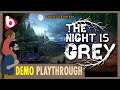 THE NIGHT IS GREY | DEMO Playthrough | Early peek at this great-looking adventure game