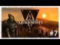 The Elder Scrolls III: Morrowind ~ Blind Let's Play Part 7, To Fort Moonmoth and Beyond