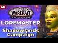 The End of the Beginning - WoW Quest 57876 playthrough in 4K 60fps