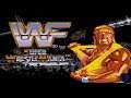 Wwf Super Wrestlemania - Genesis / Megadrive