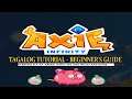 Axie Infinity Guide Tutorial Tagalog - SLP & XP Farming, Arena, Buffs, PVP, Ban and Scam Alert