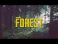 THE FOREST (Angespielt) ⛌ (Durch das Unterholz am hacken)