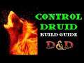 Wildfire Druid Build Guide: D&D
