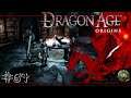 ADORADORES Y ESPECTROS DE LA CENIZA | Dragon Age Origins #67