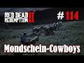Let's Play Red Dead Redemption 2 #114: Die Mondschein-Cowboys [Frei] (Slow-, Long- & Roleplay)
