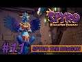 Spyro The Dragon [Reignited Trilogy] Part 11 - (Dream Weavers)