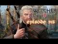 The Witcher 3: Wild Hunt #315 - Rinderwahn und Steine