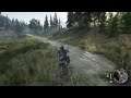 Days Gone