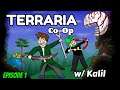 A New Chaotic Adventure!!! | Terraria Co-Op With Kalil Episode 1