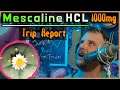 Mescaline HCL 1000mg Trip Report