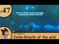 Zelda breath of the wild Ep47 Trials of the sword -Strife Plays
