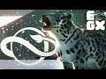 Brand New Footage & ANIMAL REVEAL! | Planet Zoo EGX Stream Video