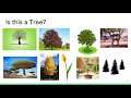 Explainable AI, Session 2: Why Do We Need Machine Learning Explanations