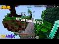 Minecraft Skywars: My Teammate is a Skywars Legend! - The Hive Skywars Gameplay