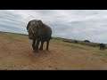 Sounds from youtube Audio library  : Mixed Jams /Pexel    Views  of Africa