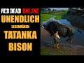 Unendlich Tatanka Bison bekommen Tipps und Tricks für RDO Red Dead Redemption 2 Online Deutsch