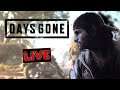 When 'Days' 'Gone' By I'm Doing Random S#!% 0_0 | DAYS GONE | LIVESTREAM | ROAD TO 1K | PS5 | #12