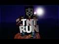 CELE MAI CATERINCĂ MECIURI DE TNT RUN CU VEREȘANII | Minecraft