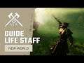 New World Life Staff Weapon Mastery Beginners Guide 2021 | New Player Tutorial & Tips | MMORPG