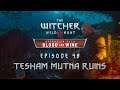 The Witcher 3 BaW - Let's Play [Blind] - Episode 48