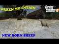 Green Mountain Forest Ep 27     Last day of winter, kind of     Farm Sim 19