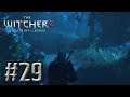 The Witcher 2 #29 - A donzela na floresta!