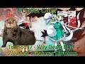 Touhou 17 Wily Beast and Weakest Creature Dialogue Part 8 (Youmu Otter Route)